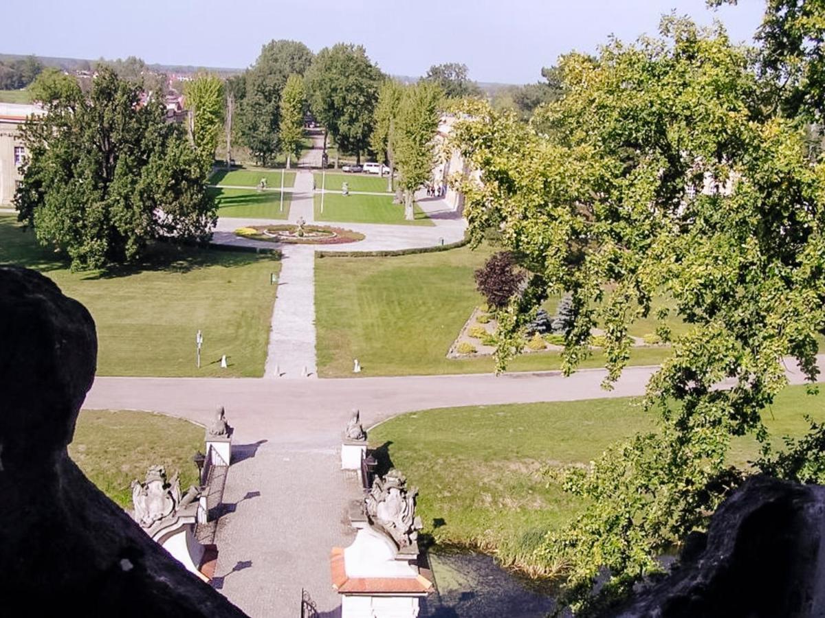 Hotel Zamek Krolewski W Rydzynie Rydzyna ภายนอก รูปภาพ